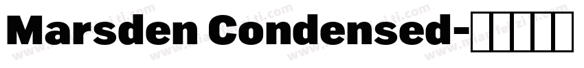 Marsden Condensed字体转换